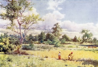 Giungla fitta da Robert George Talbot Kelly